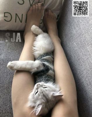 亞洲系列另類無碼專區(qū)_完整版在線觀看